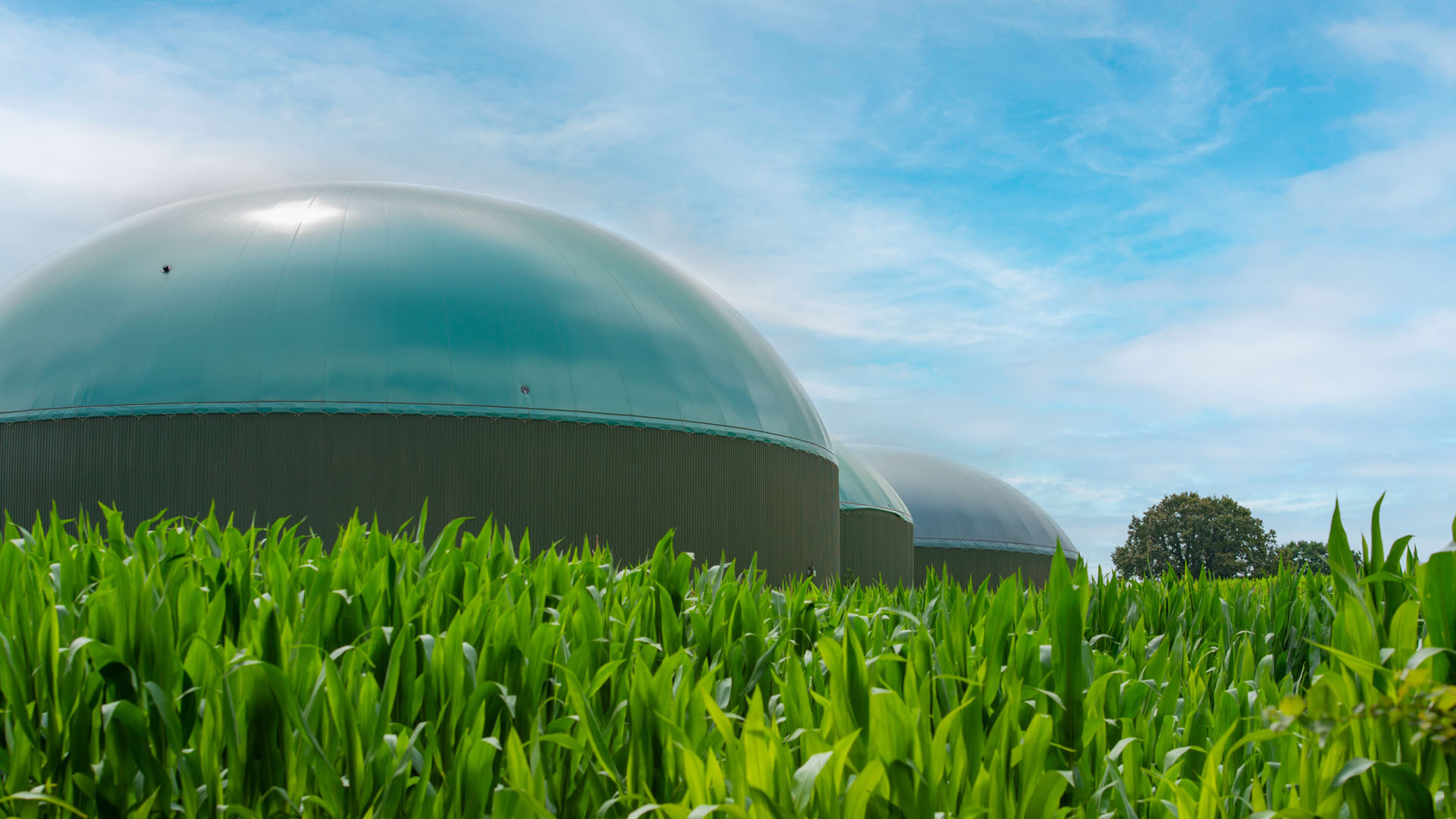 Engie to build biomethane plant in France